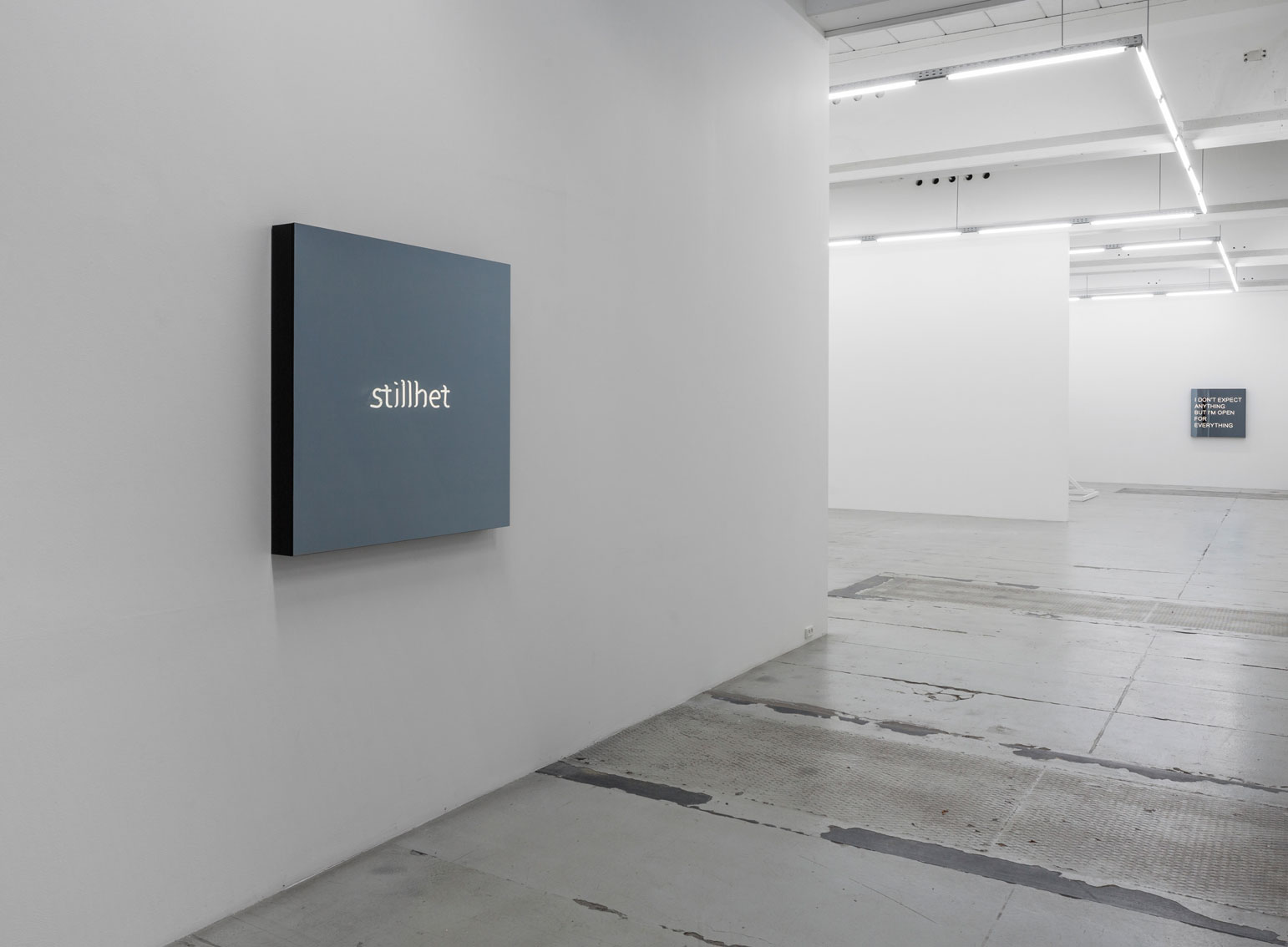 galleri_nicolai_wallner_stillhet_installationview3.jpg