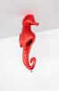 animal_mirror_balloons_jh_seahorse_mb_dr_6063_w.jpg